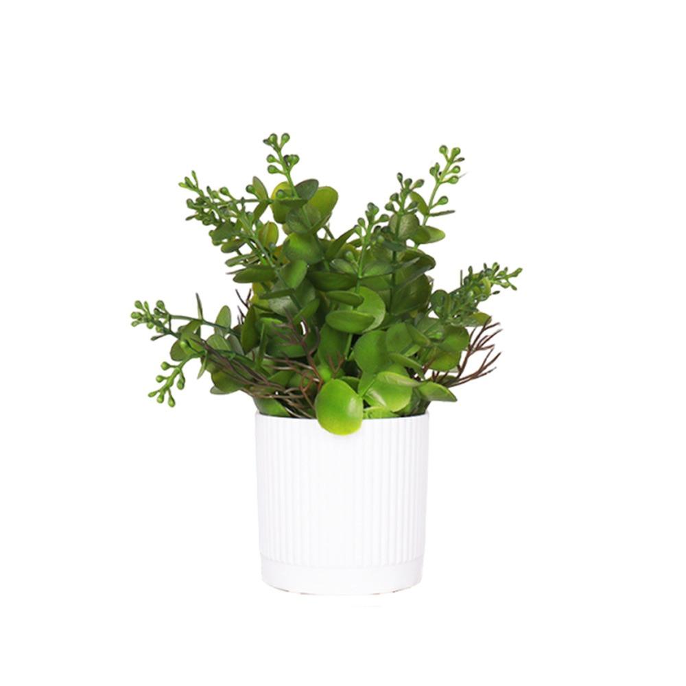 Green Fern Grass Artificial Bonsai Green Grass Photo Props Desktop Ornament Waterproof White Flowerpot Simulation Plant Potted