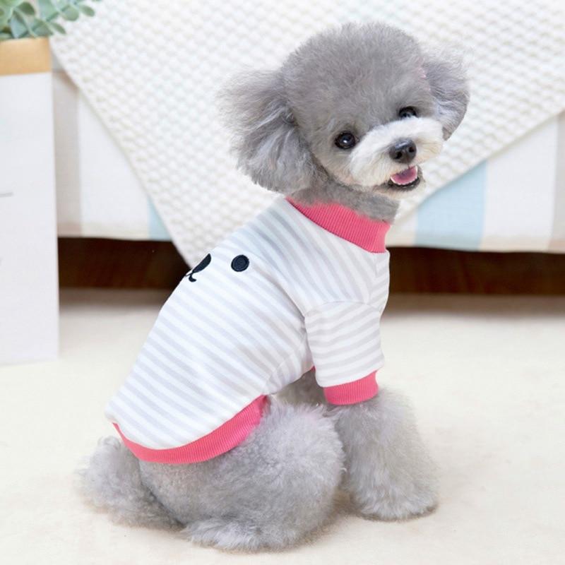 labrador winter clothes