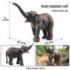 Wild Safari Animal Figurines: Giraffe, Elephant, Rhinoceros, Brown Bear, Tiger, Lion, Leopard, Hippopotamus - Solid Cognitive Toys