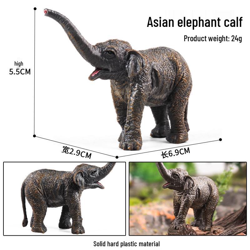 Wild Safari Animal Figurines: Giraffe, Elephant, Rhinoceros, Brown Bear, Tiger, Lion, Leopard, Hippopotamus - Solid Cognitive Toys