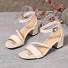 2025 Summer New High Heeled Sandals Fashion Round Toe Open Toe Ladies Shoes New Concise Fairy Style  Low Heel Square Heel Shoes