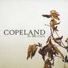 CD COPELAND  In Motion  HWCY1196 Howling Bull 2006 Japan ObiRock Used