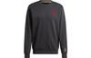 FW23 Sweatshirt Men's Black IP9184