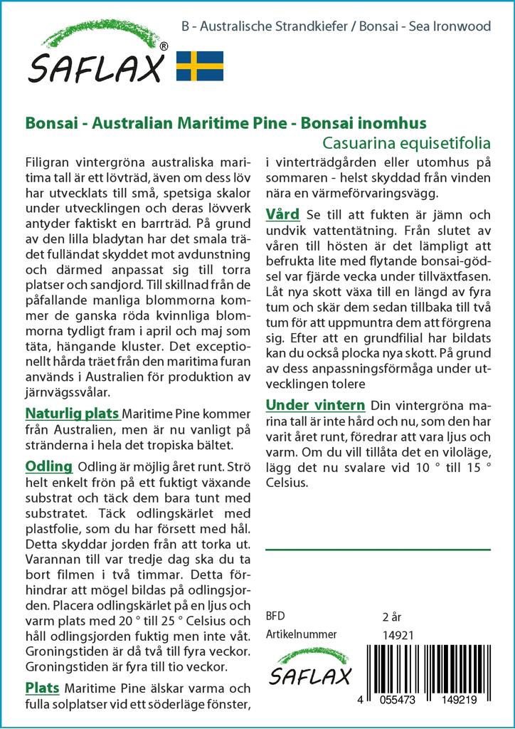 SAFLAX Garden In the Bag - Bonsai - Sea Ironwood - 200 Seeds - With Substrate In a Fitting Stand Up Bag - Casuarina Equisetifolia