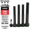 Wenstan 12.9 Grade DIN912 Blackened Hex Socket Cap Screws