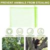 50/100Pcs Grapes Fruit Protection Bags Pest Control Anti-Bird Garden Netting Bags Mesh Agricultural Tree Garden Tool Bags
