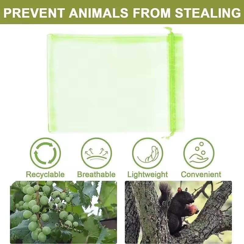 50/100Pcs Grapes Fruit Protection Bags Pest Control Anti-Bird Garden Netting Bags Mesh Agricultural Tree Garden Tool Bags