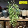 Artificial Spider Plant & Fern Hanging Decor - Trailing Green Vines for Wall & Ceiling