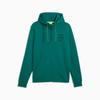 Puma AMF1 ESSENTIAL Herren Hoodie grün 63538904 r L