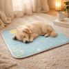 Washable Cooling Dog Mat Cool Feeling Cat Sleeping Cushion Cartoon Pattern Pet Nest Mat  Car Travel