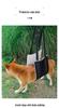 Senior Dog Support Harness for Rehabilitation: Chest Strap & Limb Assistance