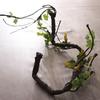 Simulation Plastic Jungle Vines Branches Bendable Jungle Climbing Branches  Gecko