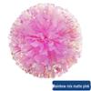 Cheerleading Hand Flower Pom Poms for Dance and Performance