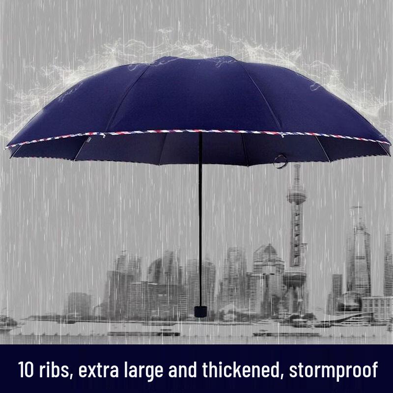 Hanyou All-Weather 12-Rib Two-Person Umbrella