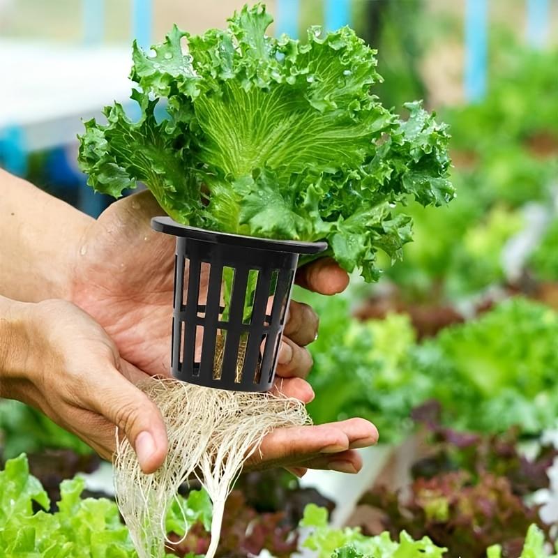 Hydroponic Net Cover - Reusable UV-resistant Mesh Cup with Groove Design Suitable for Elevated Garden Cloners and Pneumatic Systems