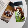 Red Fire Ants, Worker Ants Phone Case For Samsung Z Flip 7 6 5G Galaxy Z Flip 5 4 3 Black Hard Cell Cover Luxury PC Shell Coque