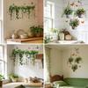 Pegatinas de Pared de Enredaderas Colgantes Plantas Verdes Hojas Pegatina de Pared Extraíble Pelar y Pegar Murales Artísticos de PVC para Sala de Estar Dormitorio Aula Cocina