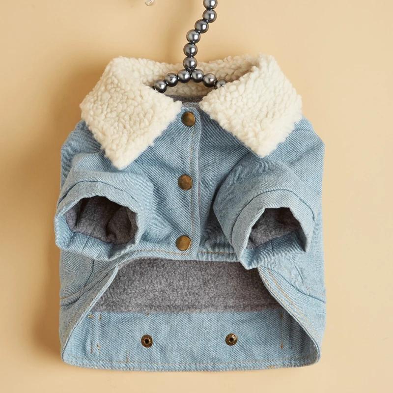 

Winter Dog Clothes Denim Jeans Coat Cat Puppy Yorkshire Pomeranian Maltese Poodle Bichon Schnauzer Pug Dog Clothing Pet Apparel XS（old） синий