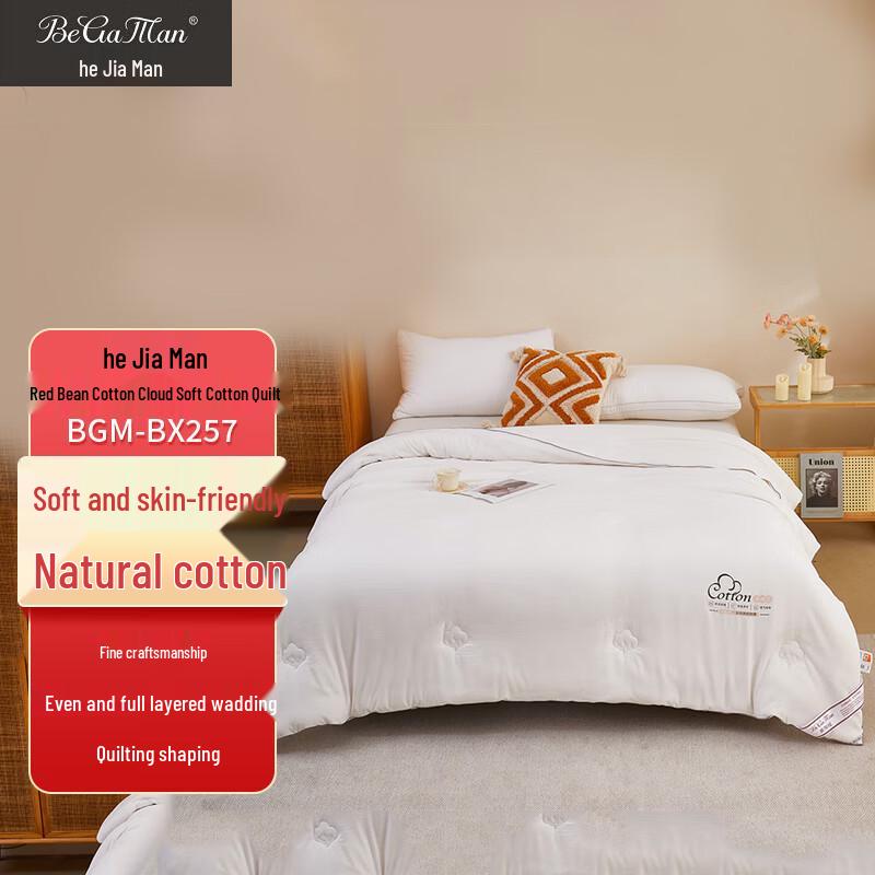 Bergmann Cloud Soft Cotton Quilt