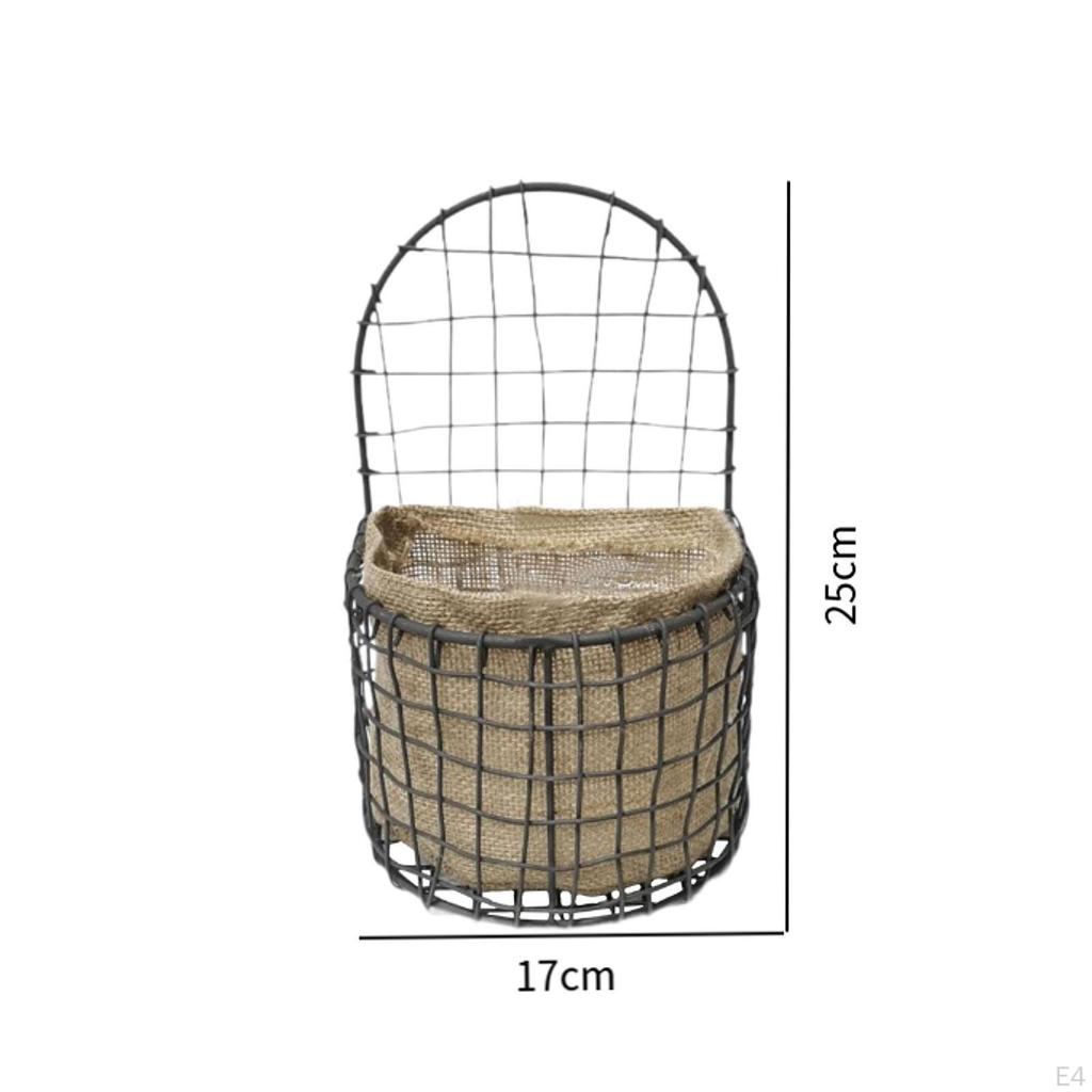 Contemporary Wall Mounted Plant Display for Indoor