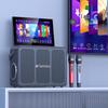 Sansui C6 All-in-One Portable KTV Speaker System