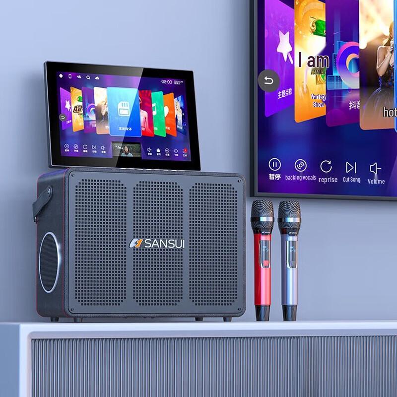 Sansui C6 All-in-One Portable KTV Speaker System