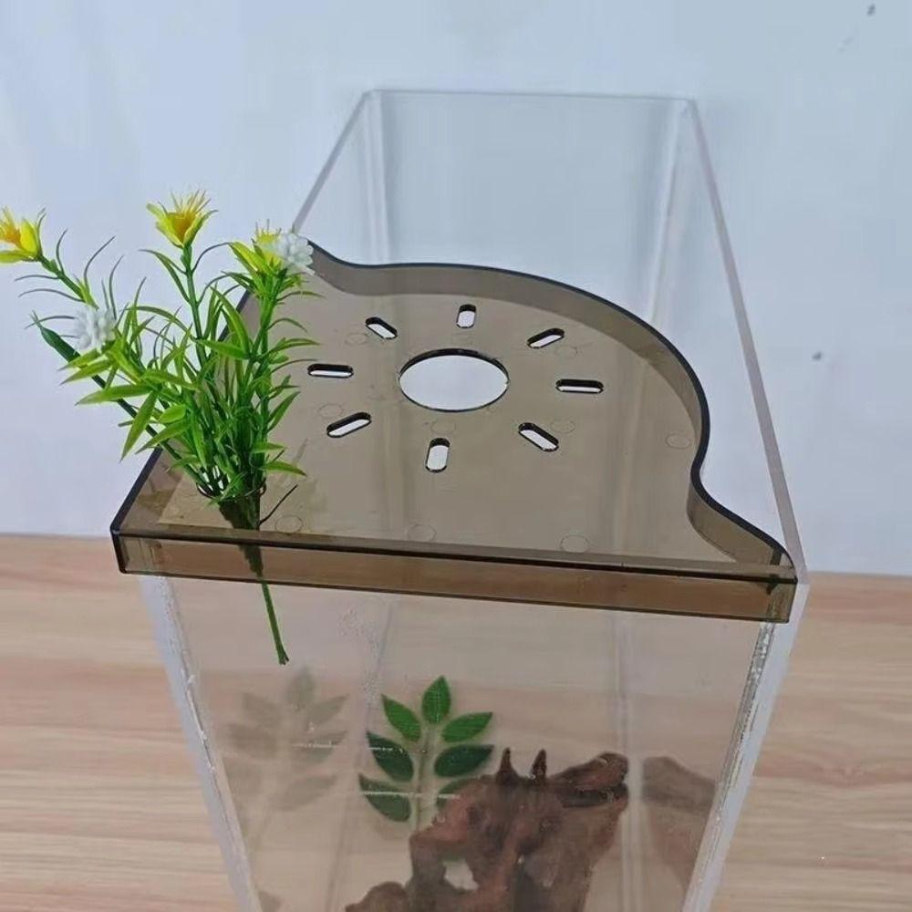 New Non-Punch Aquarium Corner Shelf Transparent Drainable Fish Tank Storage Rack Aquarium Landscape Stand
