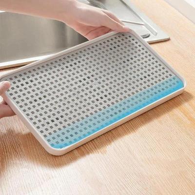 Plateau de rangement de tasses, égouttoir à vaisselle Double couche, égouttoir d'eau pour fruits et légumes, organisateur de cuisine, support de lavage et de séchage, assiette de service