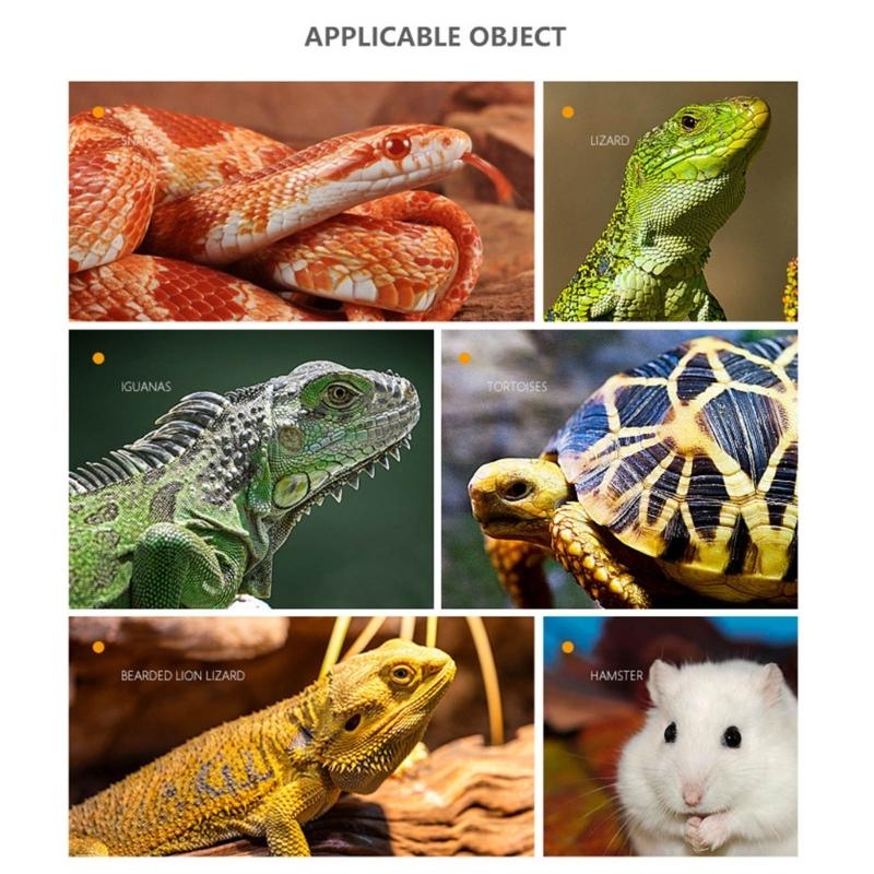 Natural Reptiles Habitats Decors Resin Hideouts Cave For Bearded Dragons Geckos Climbing Shelter Place Easy to Clean