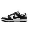 Nike Dunk Fisher Silver Wing Herringbone Abrasion Resistant Abrasion Resistant Low top Skateboard Shoes Men's HF5441-100(TeamA-)