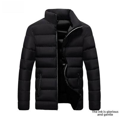 Men's Stand Collar Down Cotton Jacket - Winter 2023 Running Edition