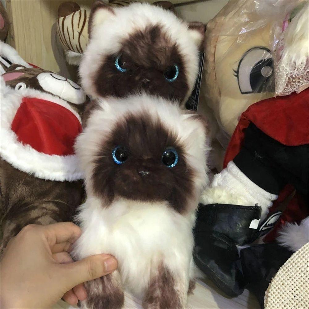 Eyes Simulation Cat 20/26CM Brown and White Stuffed Toys Cat Plush Toy Stuffed Animals Ragdoll Cats
