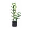 Miniature Artificial Green Plant Potted Decoration for Living Room Bedroom Office Landscaping Plastic Material