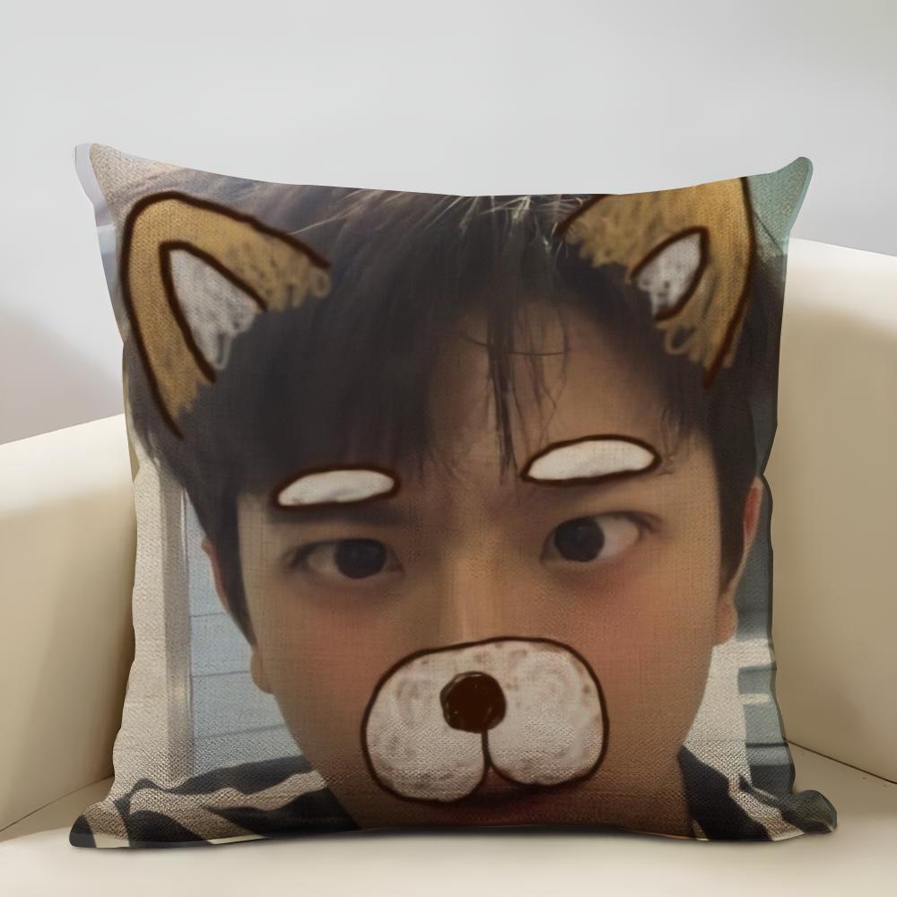 LinYi Chinese Actor Cushion Household Decoration Linen Sofa Cushion Cover: Skin-Friendly & Breathable with Invisible Zipper 12x12Inch