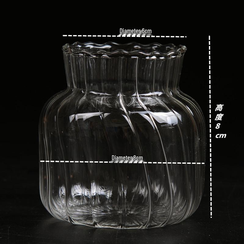 Spherical Spanish Bubble Glass Flower Vase - Transparent, Simple, Decorative Ornament for Home