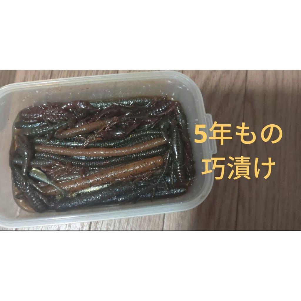 Used Worm Takuzuke