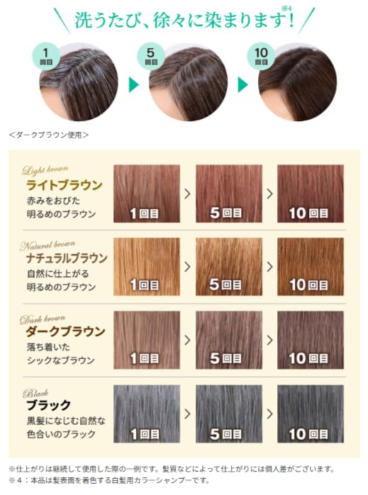 Sastty Rishiri Color Shampoo for Gray 200ml Hair, (Black)
