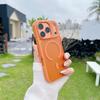 Applicable to iPhone11Promax skin matte magnetic mobile phone case Apple 11 semi-transparent all-inclusive non-slip edge sheath