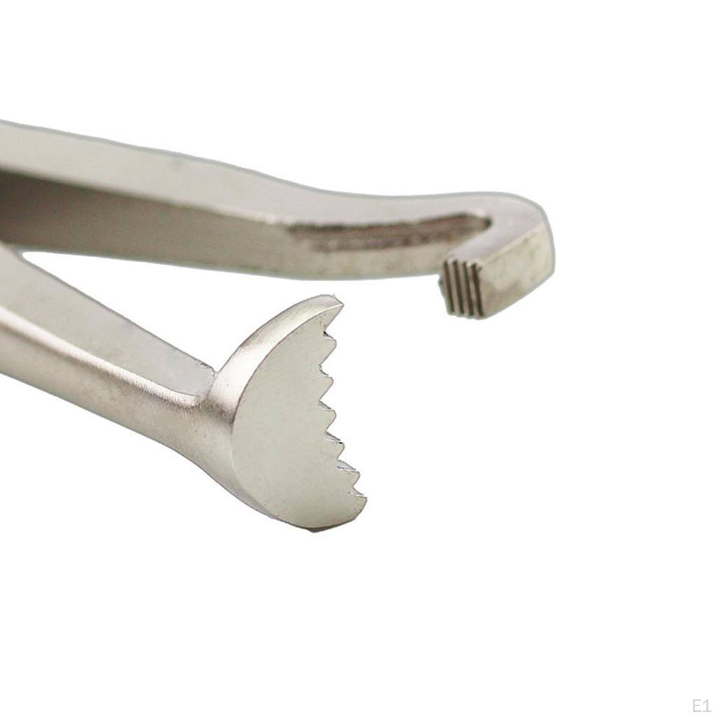 Elektrische Stecker Zange 60 ° und Gerade 2Pcs Robust Zubehör Kraftstoff Linie Remover Spark