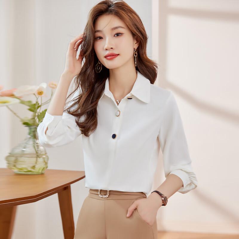 Women's Professional Long Sleeve Blouse
