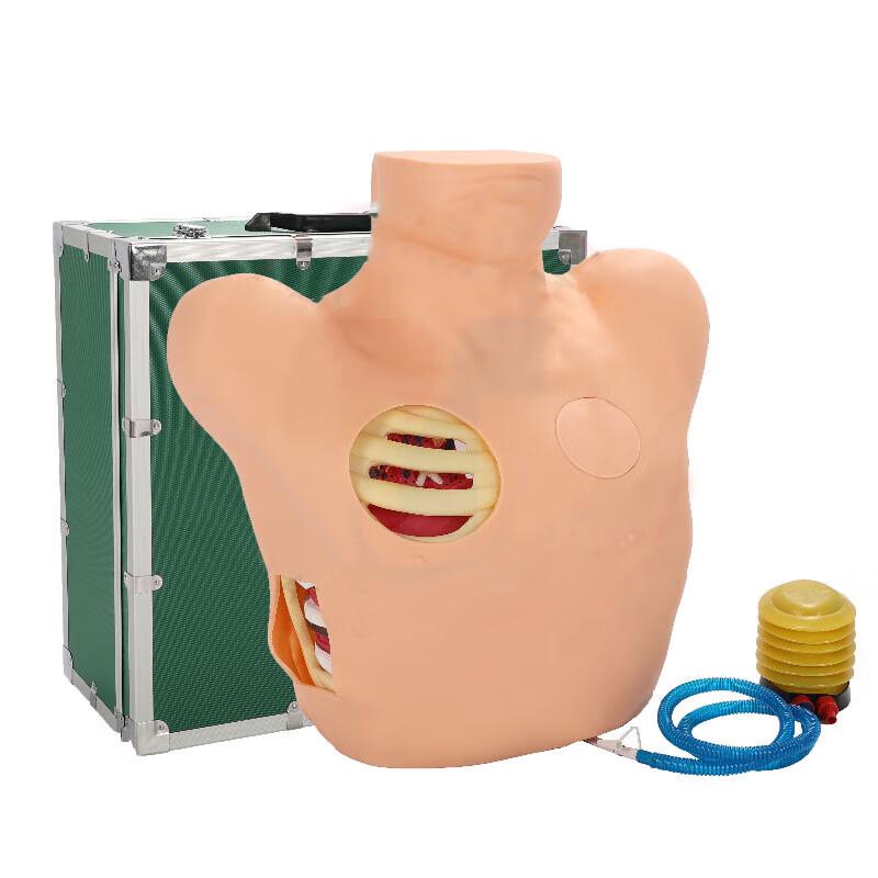 Thoracic Puncture Training Module