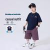 Boys' Summer Cotton Short-Sleeve & Shorts Set