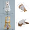 Japanese Animal Resin Refrigerator Magnets With Sleeping Bears Rabbits And Tigers For Home Decor