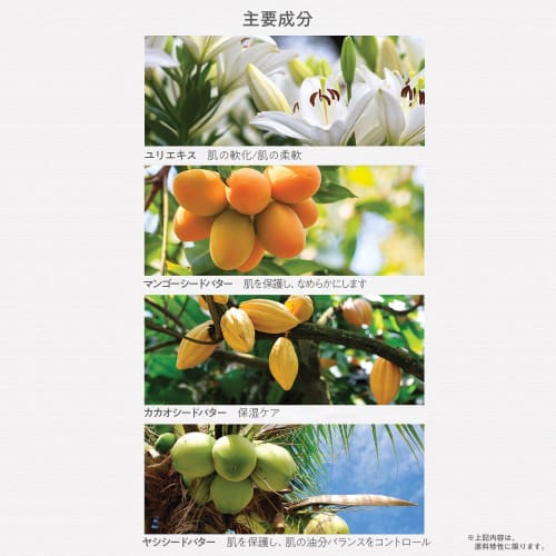 The Saem Official Japan Perfumed Hand Cream Baby Powder 0723 Moisturizing Hand Cream