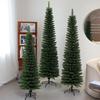Large Encrypted Slender Pencil Christmas Tree with Pointed Tip - Green