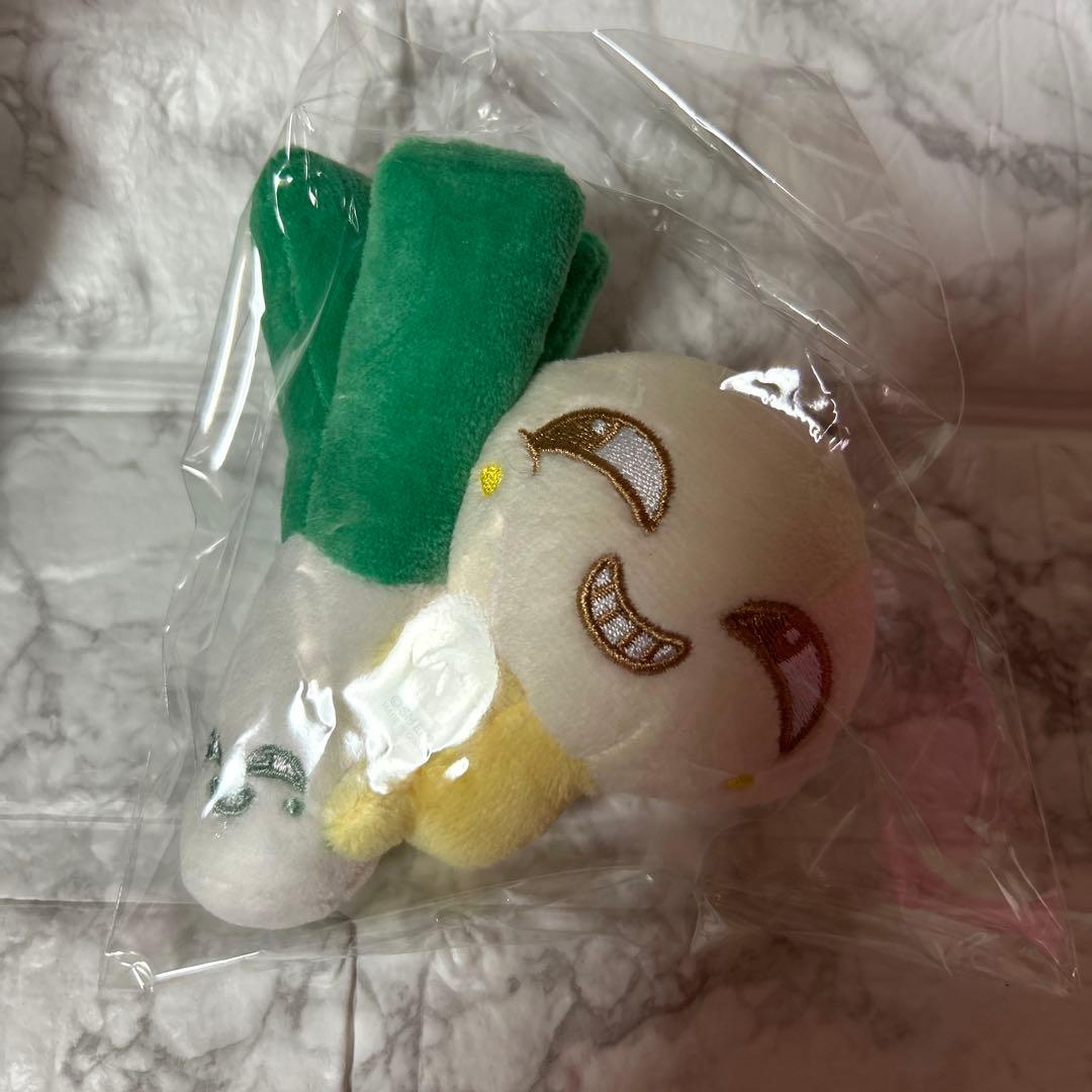 

[USED] NCT Dream Jungwoo Plush Toy Magnet Mini Doll Green Onion