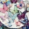 32 Pcs/Box Vibrant Butterfly Stickers - Waterproof PET Adhesive for Laptops Scrapbooks Transparent Colorful Decorative Stickers.