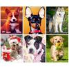 CHENISTORY Pittura su Tela con Numeri Animali Disegno di Cane su Tela Pittura a Mano Arte Murale Pittura con Numeri Regalo Personalizzato