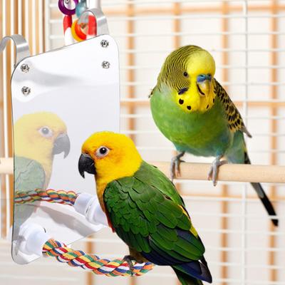 1 Set Papagei Spielzeug Bunte Hängen Vogel Spiegel mit Seil Sitzstange für Papageien Lovebirds Sittich Nymphensittich