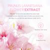 100g Japan Sakura Mud Face Mask Reduce Wrinkle Night Facial Packs Skin Clean Blackhead Pores Smearing Mud Mask Skin Care